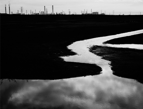 數位島嶼名家 許震唐